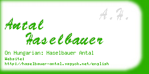 antal haselbauer business card